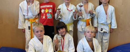Erfolge für Judo in Golling und Wels