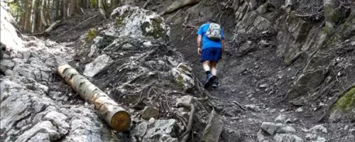 VOIGAS 17 – Ein Trail-Bewerb der Extraklasse